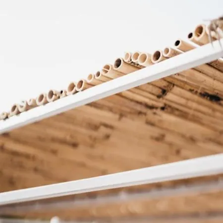 Masseria Macchiarola Lizzano (Apulia)