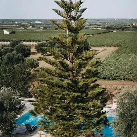 Farm stay Masseria Macchiarola Lizzano (Apulia)
